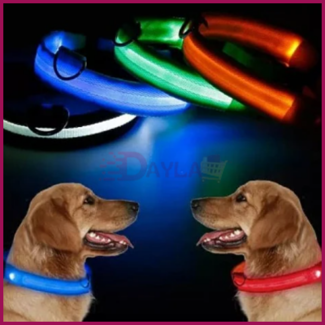 LEDPETS™ COLLAR LED PARA MASCOTAs