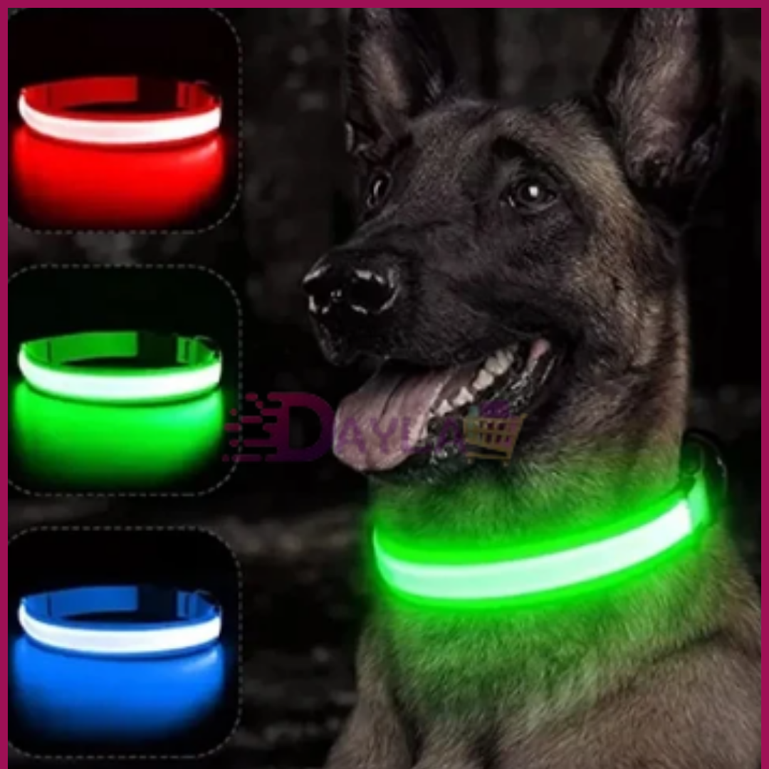 LEDPETS™ COLLAR LED PARA MASCOTAs